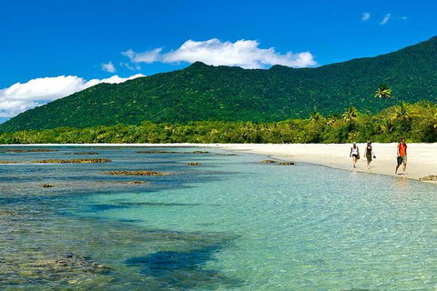 5-Day Best Of Cairns With Daintree, Kuranda, And Great Barrier Reef - Accommodation Cairns 7