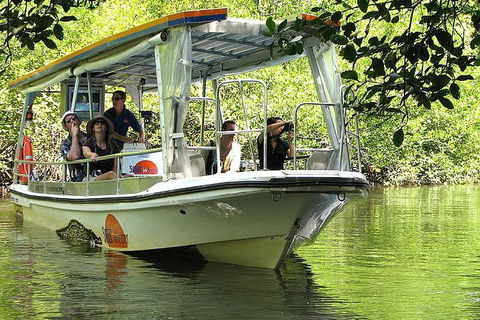 5-Day Best Of Cairns With Daintree, Kuranda, And Great Barrier Reef - Accommodation Cairns 8