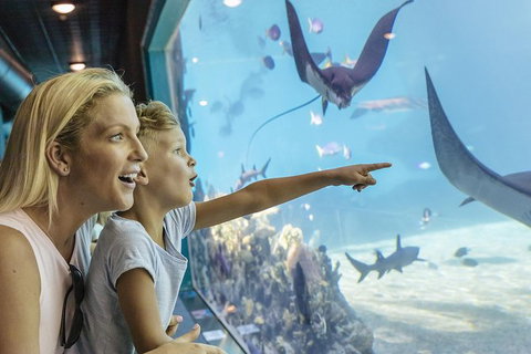 Gold Coast Theme Park Pass: Warner Bros. Movie World, Sea World And Wet'n'Wild - Accommodation Cairns 1