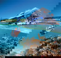 3-Day Southern Great Barrier Reef Tour Including Lady Musgrave Island - Accommodation Cairns