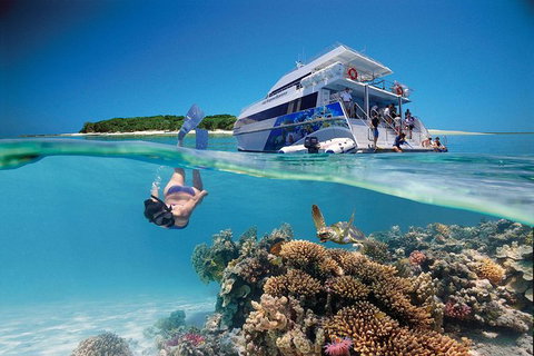 3-Day Southern Great Barrier Reef Tour Including Lady Musgrave Island - Accommodation Cairns 0