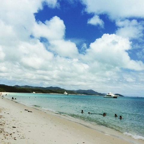 Whitehaven Beach Half-Day Cruises - Accommodation Cairns 11