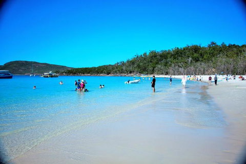 Whitehaven Beach Half-Day Cruises - Accommodation Cairns 9