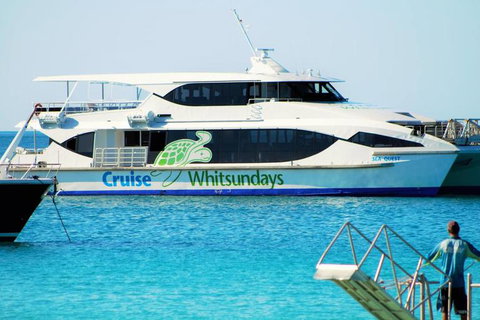 Whitehaven Beach Half-Day Cruises - Accommodation Cairns 10