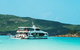 Whitehaven Beach Half-Day Cruises - thumb 14