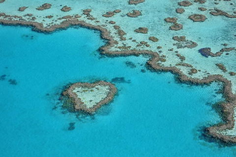 Reef And Island Scenic Flight From Airlie Beach - Accommodation Cairns 7