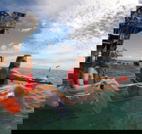 Moreton Island Day Trip Kayak Snorkel  Sandboard frm Brisbane or Gold Coast - Accommodation Cairns