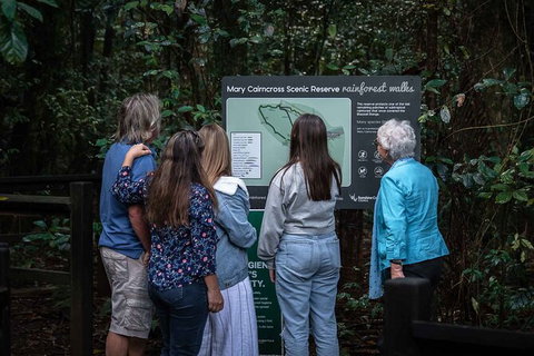 Sunshine Coast Hinterland And Noosa Day Trip From Brisbane Including Eumundi Markets And Ginger Factory - Accommodation Cairns 4