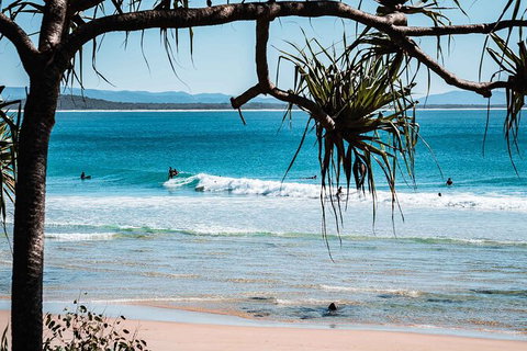 Sunshine Coast Hinterland And Noosa Day Trip From Brisbane Including Eumundi Markets And Ginger Factory - Accommodation Cairns 8