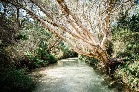 All-Inclusive 2-Day Fraser Island Tour - Accommodation Cairns 11