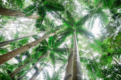 All-Inclusive 2-Day Fraser Island Tour - Accommodation Cairns 8