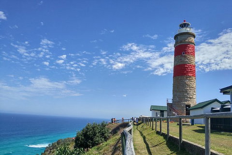 Cape Moreton Scenic 4WD Day Tour From Brisbane Or The Gold Coast - Accommodation Cairns 1