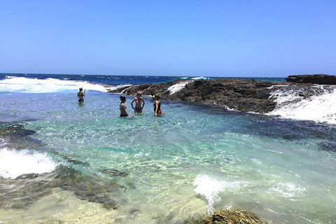 Cape Moreton Scenic 4WD Day Tour From Brisbane Or The Gold Coast - Accommodation Cairns 3