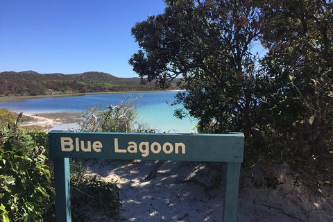 Cape Moreton Scenic 4WD Day Tour From Brisbane Or The Gold Coast - Accommodation Cairns 4