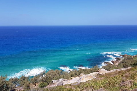 Cape Moreton Scenic 4WD Day Tour From Brisbane Or The Gold Coast - Accommodation Cairns 7
