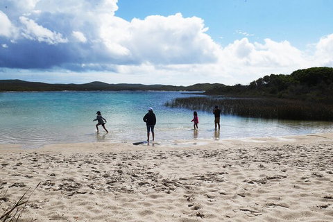 Cape Moreton Scenic 4WD Day Tour From Brisbane Or The Gold Coast - Accommodation Cairns 5