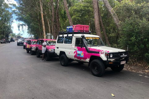 2-Day Fraser Island 4WD Tag-Along Tour At Beach House From Hervey Bay - Accommodation Cairns 6