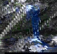 You Choose the Tour Brisbane Private Chauffeur Driven Personal Tour - Accommodation Cairns