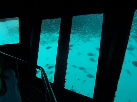 Great Barrier Reef Day Cruise To Reefworld - Accommodation Cairns 12