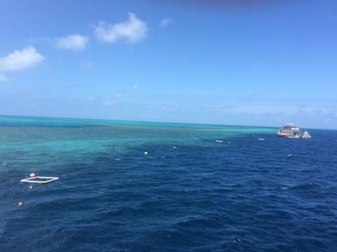 Great Barrier Reef Day Cruise To Reefworld - Accommodation Cairns 8