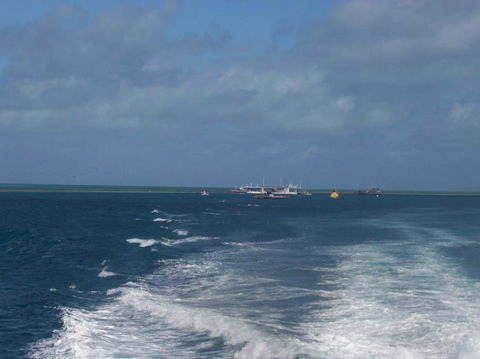 Great Barrier Reef Day Cruise To Reefworld - Accommodation Cairns 22