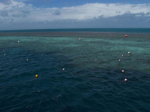 Great Barrier Reef Day Cruise To Reefworld - Accommodation Cairns 16