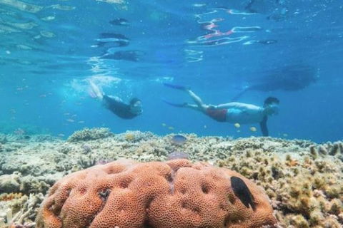 Great Barrier Reef Day Cruise To Reefworld - Accommodation Cairns 1