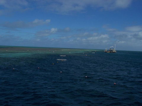Great Barrier Reef Day Cruise To Reefworld - Accommodation Cairns 13