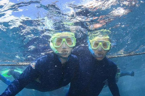 Great Barrier Reef Day Cruise To Reefworld - Accommodation Cairns 3