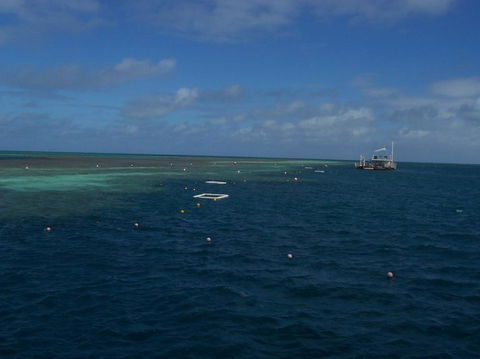 Great Barrier Reef Day Cruise To Reefworld - Accommodation Cairns 14