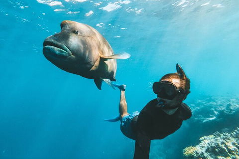 Great Barrier Reef Day Cruise To Reefworld - Accommodation Cairns 25