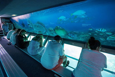 Great Barrier Reef Day Cruise To Reefworld - Accommodation Cairns 28