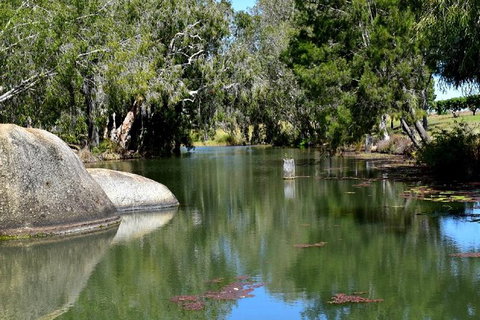 Daintree - Cape Tribulation & Atherton Tablelands Tours From Port Douglas - Accommodation Cairns 28