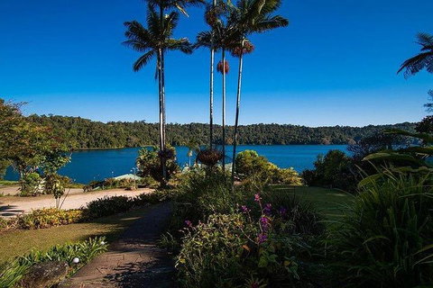 Daintree - Cape Tribulation & Atherton Tablelands Tours From Port Douglas - Accommodation Cairns 25