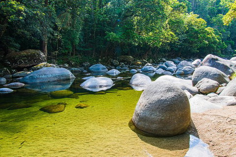 Daintree - Cape Tribulation & Atherton Tablelands Tours From Port Douglas - Accommodation Cairns 6