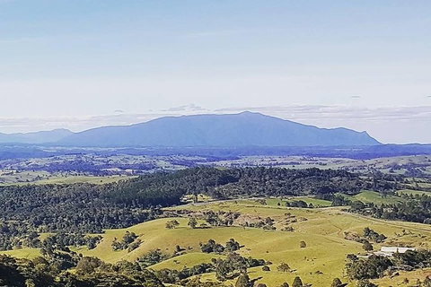 Daintree - Cape Tribulation & Atherton Tablelands Tours From Port Douglas - Accommodation Cairns 10