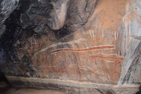 Daintree - Cape Tribulation & Atherton Tablelands Tours From Port Douglas - Accommodation Cairns 15