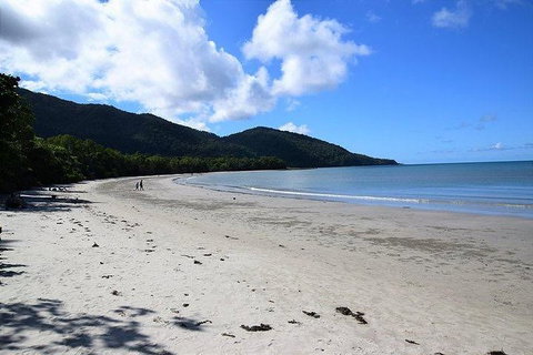 Daintree - Cape Tribulation & Atherton Tablelands Tours From Port Douglas - Accommodation Cairns 18