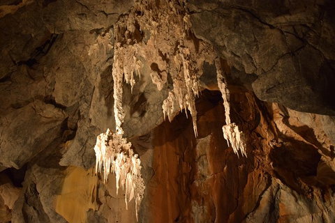 Daintree - Cape Tribulation & Atherton Tablelands Tours From Port Douglas - Accommodation Cairns 23