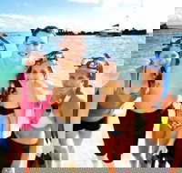 Moreton Island Snorkel and Sandboarding 4WD Day Trip from Brisbane - Accommodation Cairns