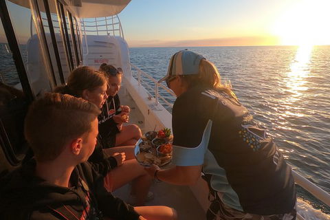 Hervey Bay Whale Watching Experience - Accommodation Cairns 15