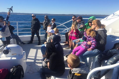 Hervey Bay Whale Watching Experience - Accommodation Cairns 10