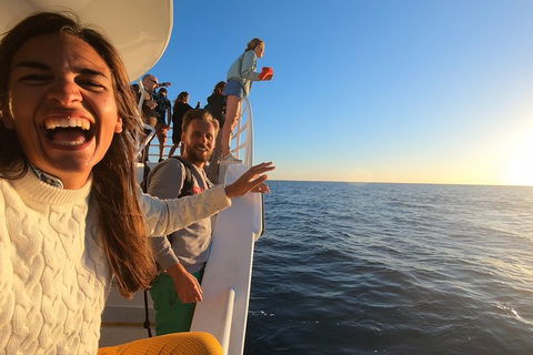 Hervey Bay Whale Watching Experience - Accommodation Cairns 9