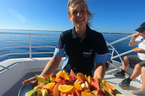 Hervey Bay Whale Watching Experience - Accommodation Cairns 5