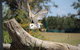 Lone Pine Koala Sanctuary Admission With Brisbane River Cruise - thumb 25