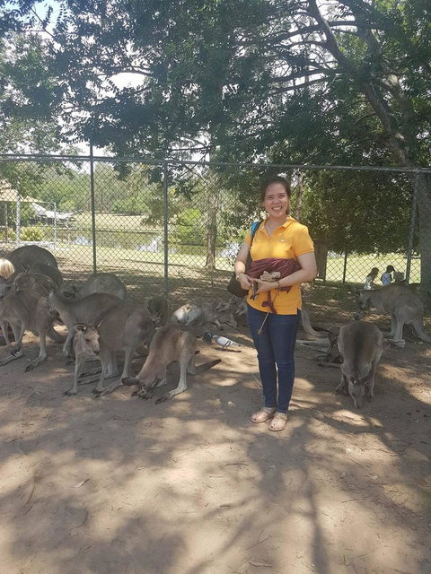 Lone Pine Koala Sanctuary Admission With Brisbane River Cruise - Accommodation Cairns 17