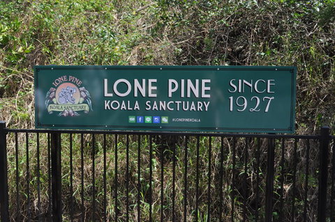 Lone Pine Koala Sanctuary Admission With Brisbane River Cruise - Accommodation Cairns 7