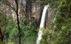 World Heritage Springbrook National Park Tour Including Natural Bridge - thumb 3