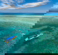 Ocean Safari Great Barrier Reef Experience in Cape Tribulation - Accommodation Cairns