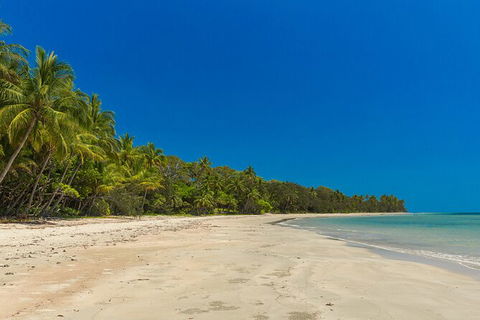 Ocean Safari Great Barrier Reef Experience In Cape Tribulation - Accommodation Cairns 3